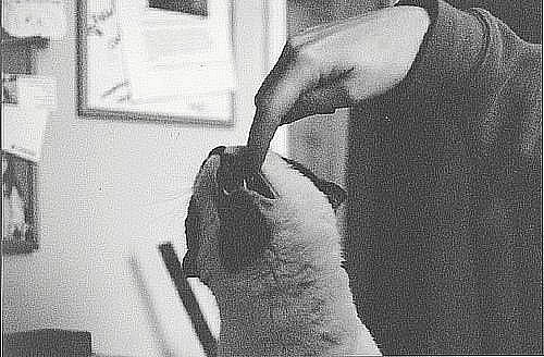 Мария Титаренко | Северодонецк