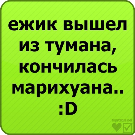 №24, Микола Середа, Львов №24, Микола Середа, Львов