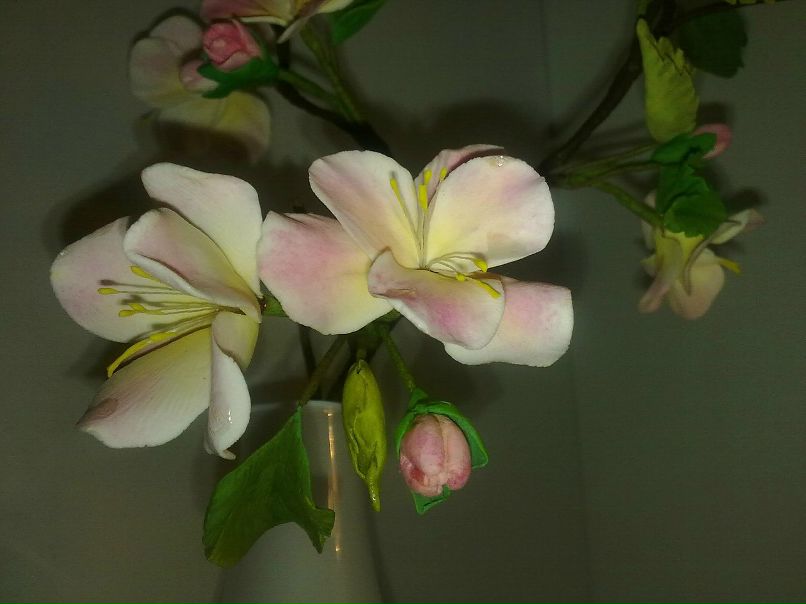 Ольга Строгина | Новосибирск