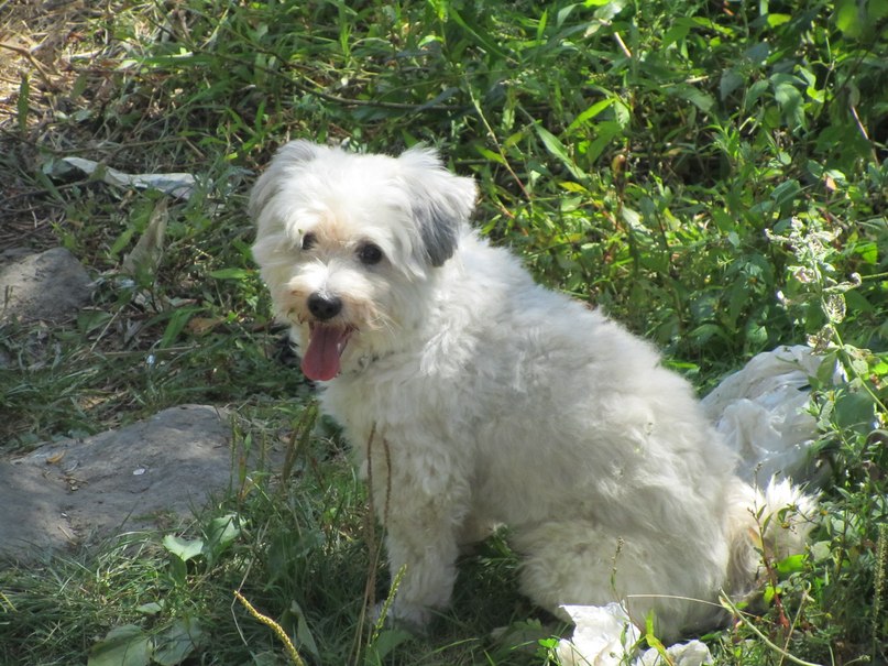 Александр Сергеевич | Винница