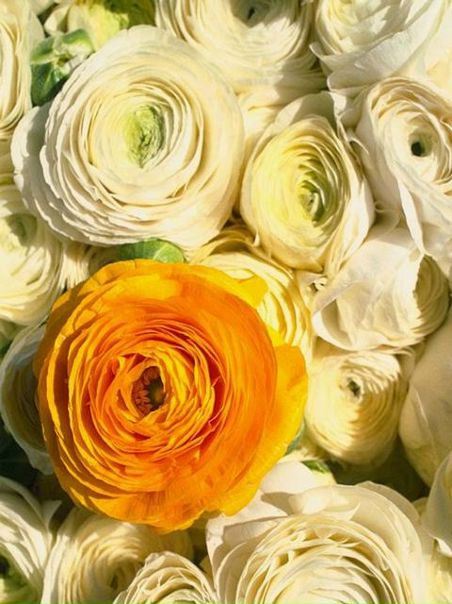 №16, Арина-Родионовна Фенич-Щербакова, 14.07.1985, Волгоград №16, Арина-Родионовна Фенич-Щербакова, 14.07.1985, Волгоград