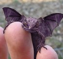 Фотография Иванова Семёна