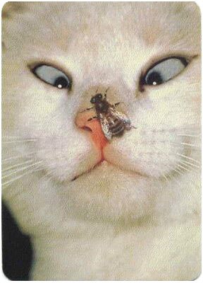 Маша Серова | 