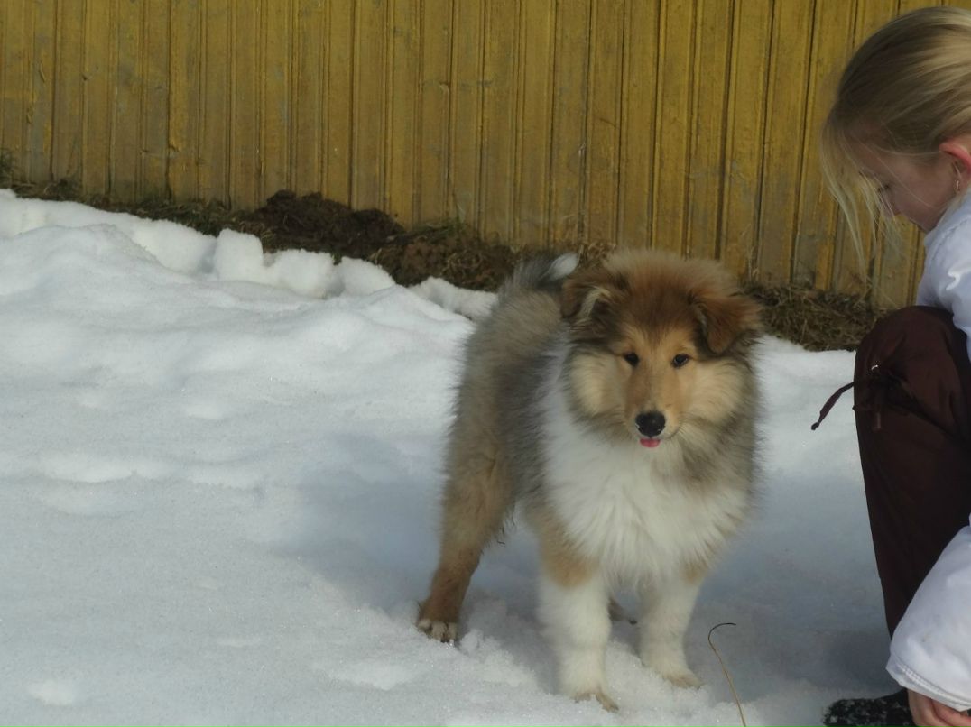 Светлана Егорова | Санкт-Петербург