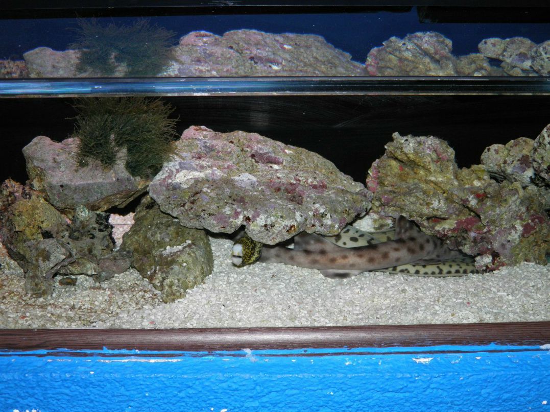 Ирина Васюкова | Мелитополь