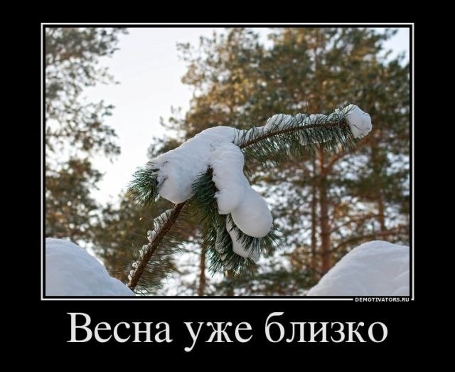 Дима Чернусский | Днепр (Днепропетровск)