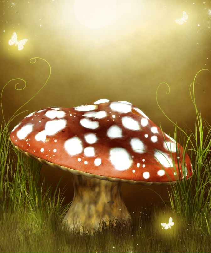 Наталья Конова | 