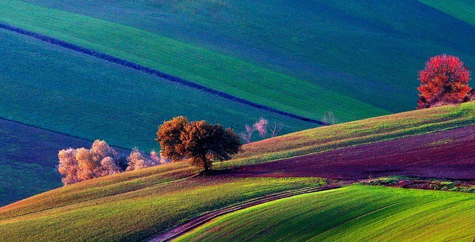 Марина Следер | 