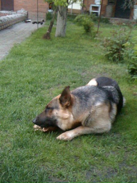 №92, Ярослав Бондарь №92, Ярослав Бондарь