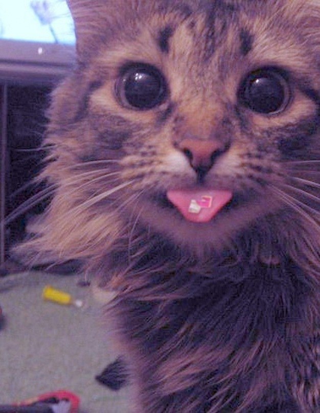 Азат Садретдинов | Казань