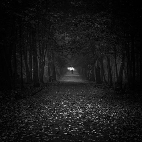 Александр Куимов | Великий Новгород