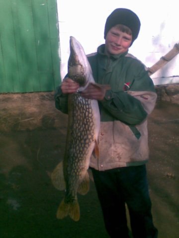 Анатолий Артемьев | Корец