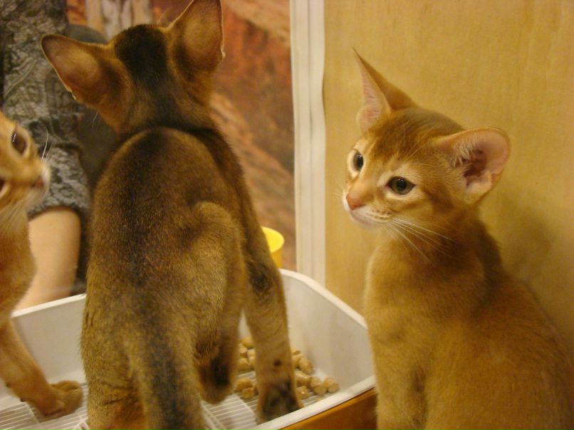 Наталья Маруда mini | Ростов-на-Дону