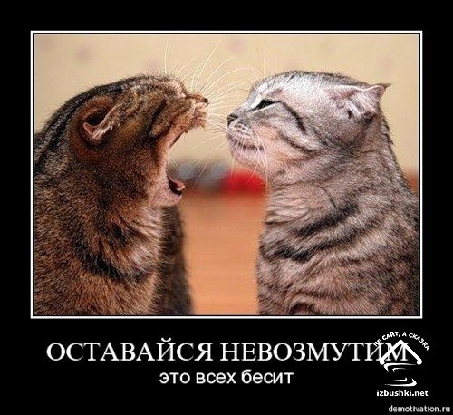 №11, Павел Володченко, 38 лет, Владимир №11, Павел Володченко, 38 лет, Владимир