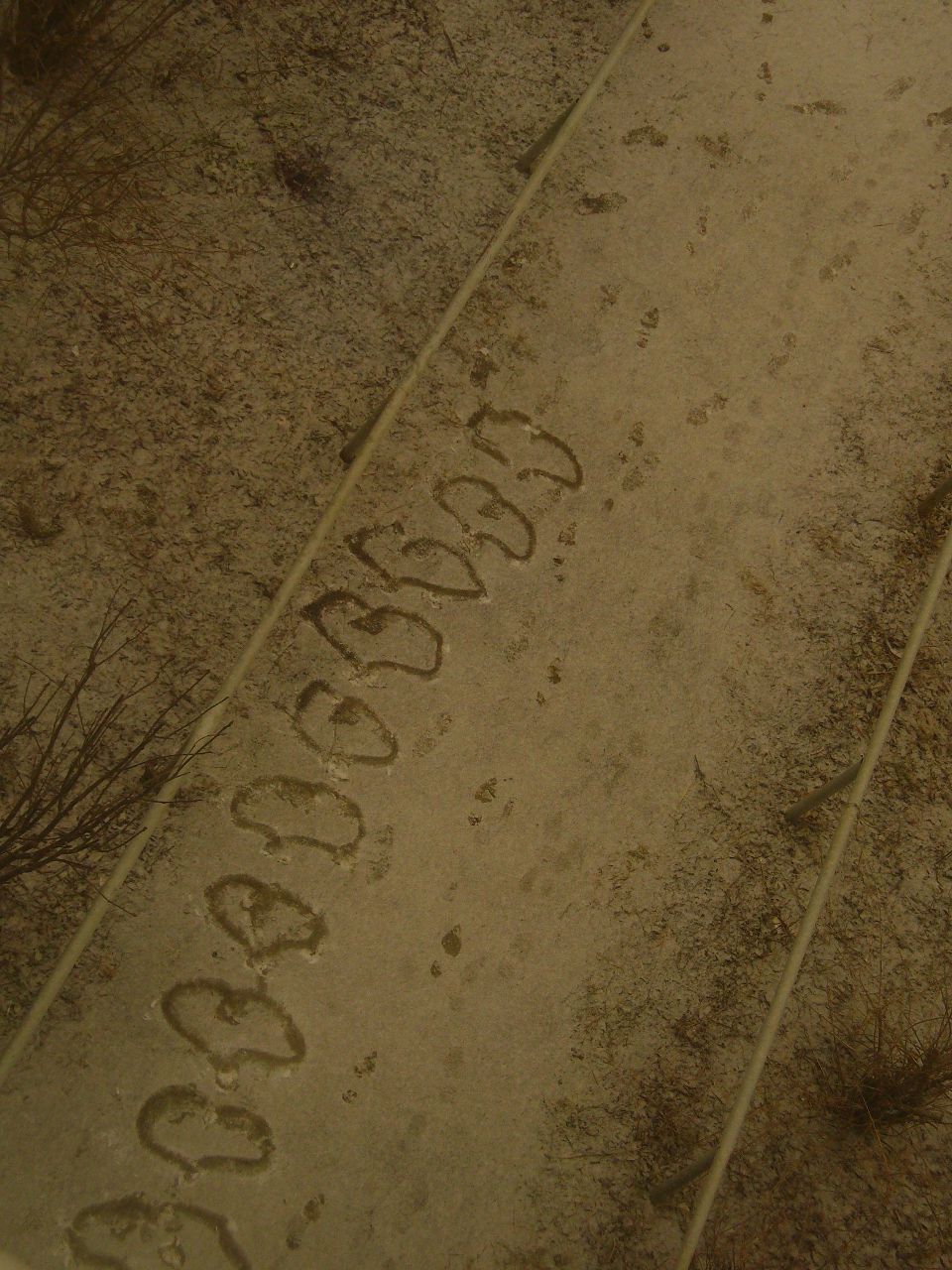 Настена Гладкова {Klub}+{Ni4Ka} | Екатеринбург