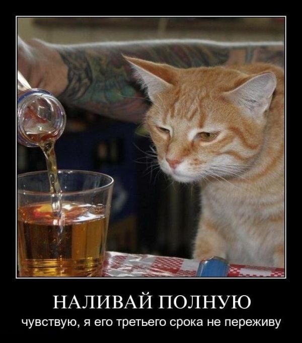 Александр Александров | Самара