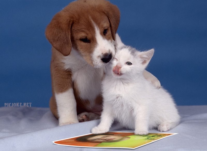 Edja K... | Резекне