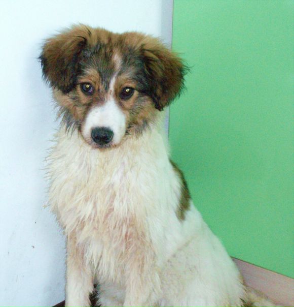 №25, Дмитрий Зинишин, Красноярск №25, Дмитрий Зинишин, Красноярск