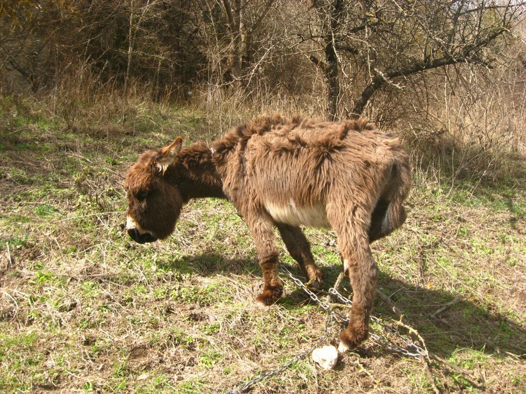 Віктор Мацеха Вікторович | Львов
