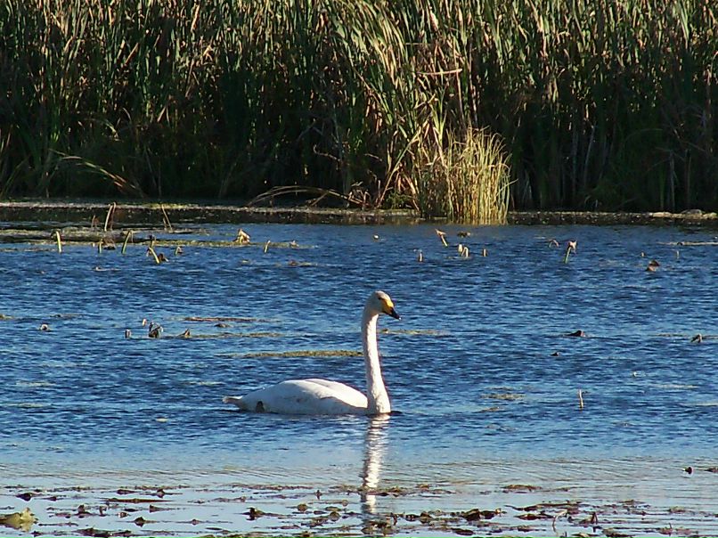 Юра Киркин | Кичменгский Городок