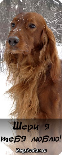 №3, Кристина Южакова, 27 лет, Череповец №3, Кристина Южакова, 27 лет, Череповец