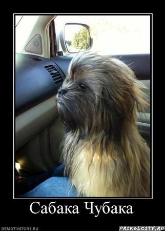 Андрей Лефутуренко | Киев