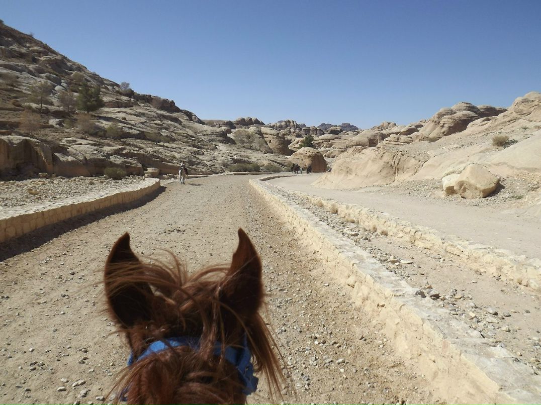 Федор Малышев | Санкт-Петербург