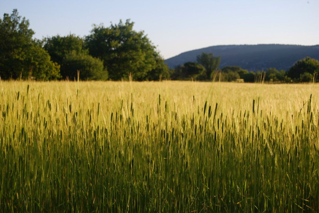 Оля Панина | Москва