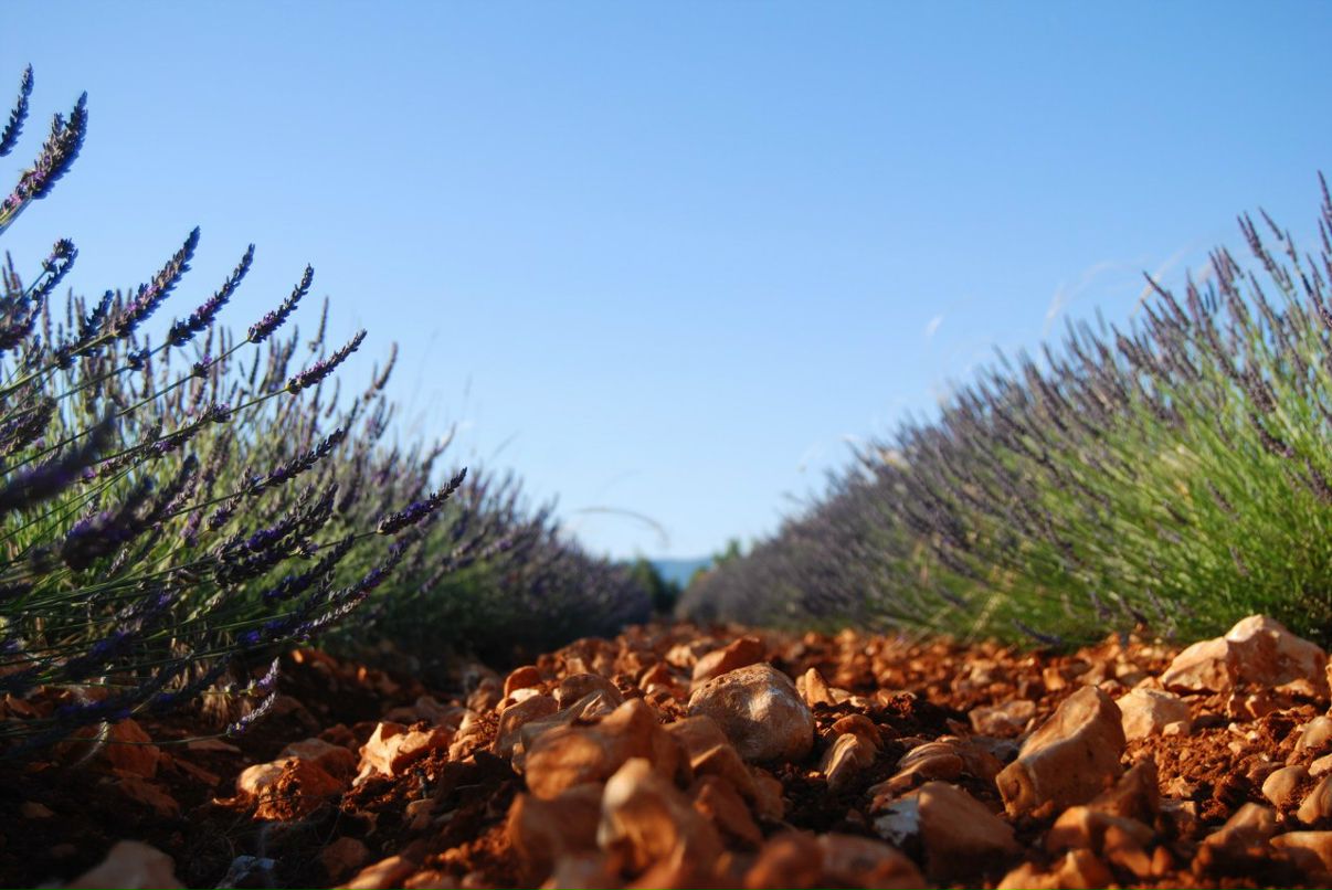Оля Панина | Москва