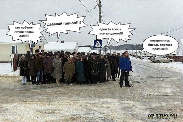 Паха Воробьев | Лесной