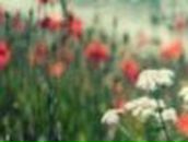 Оля Тарелова | Нижний Новгород