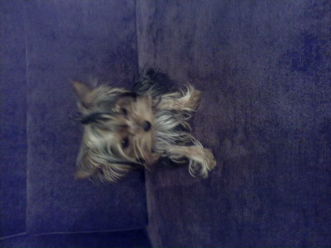 Таймураз Албегов | Москва