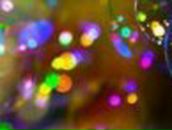 Настенька Шипова | Комсомольск-на-Амуре