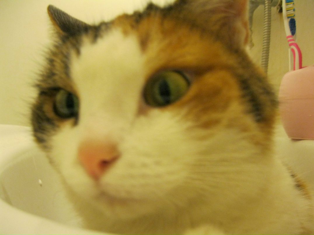 Лада Исмагилова | Москва