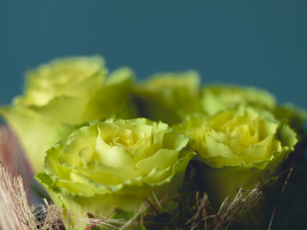 Виктория Штеркель | Челябинск