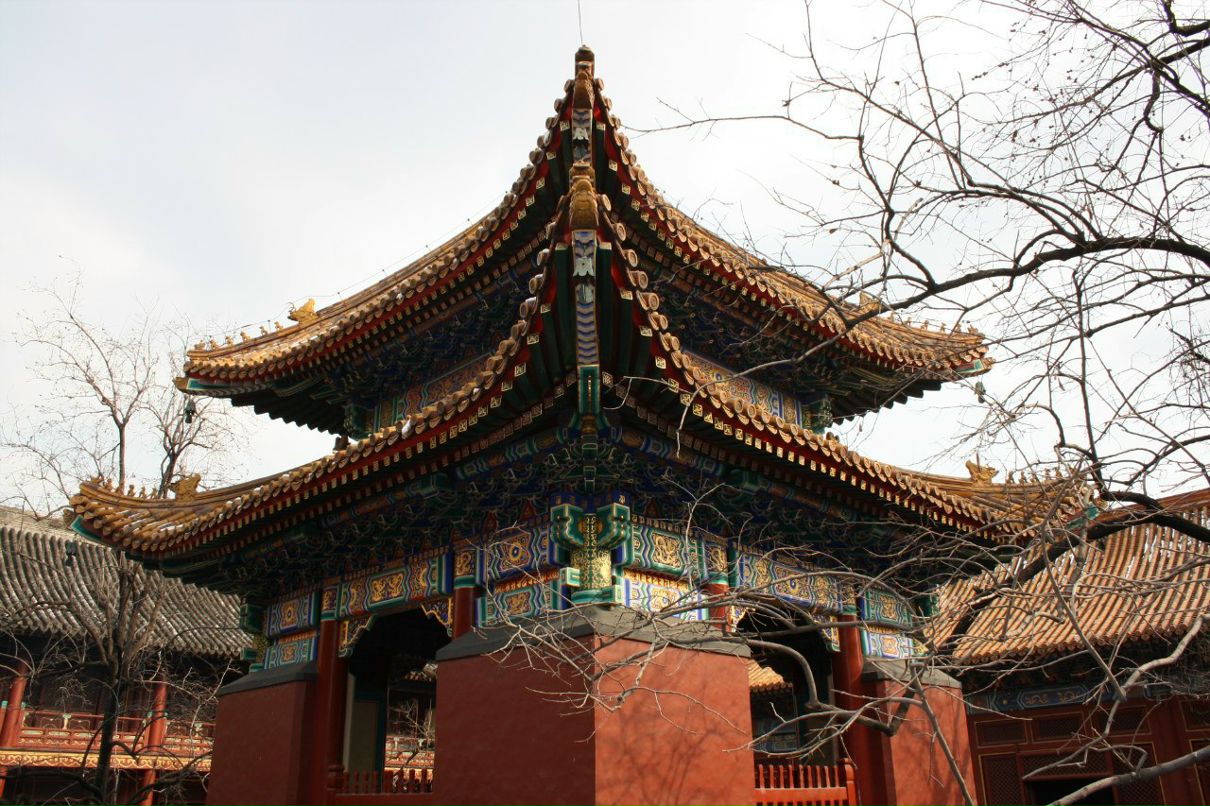 Дарья Космынина | Москва