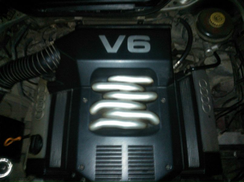 Евгений Гадеев | Саранск