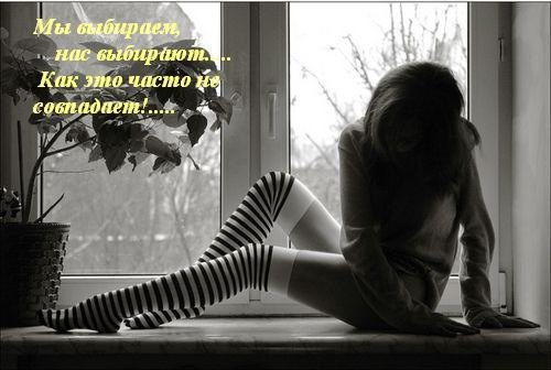 №12, Светлана Тоникс, Луга №12, Светлана Тоникс, Луга