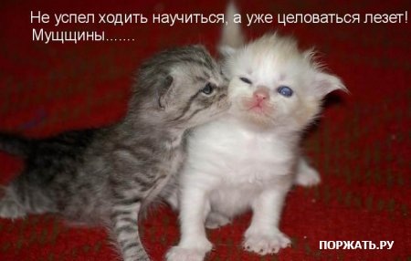 №145, Виктория Елизова, 35 лет, Минск №145, Виктория Елизова, 35 лет, Минск