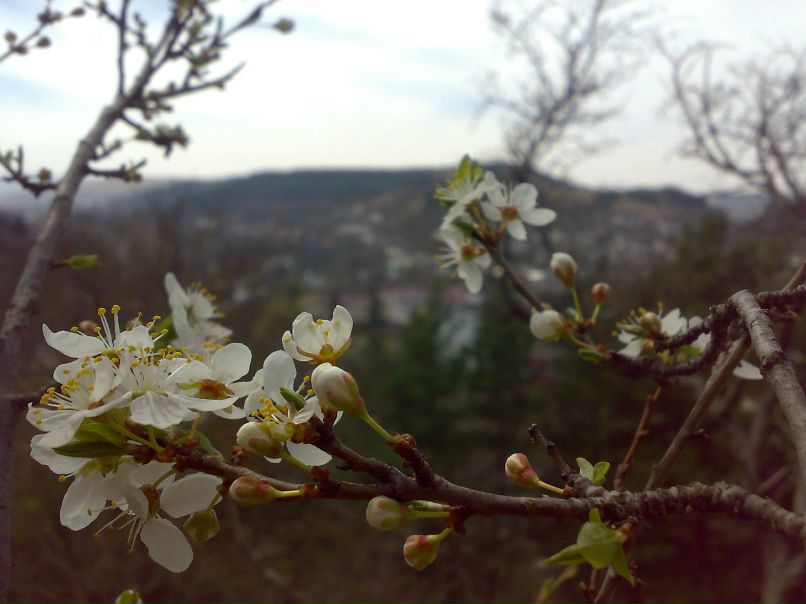 Евгений Жуколин | 