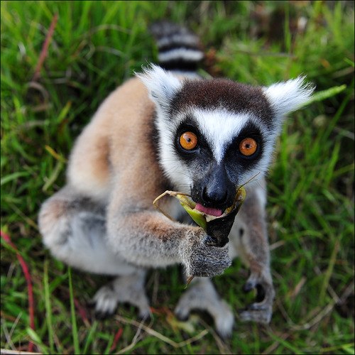 Кирилл Шилин | Мценск