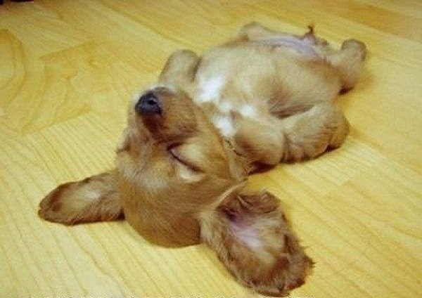 Sowthistle Sowthistle | Санкт-Петербург