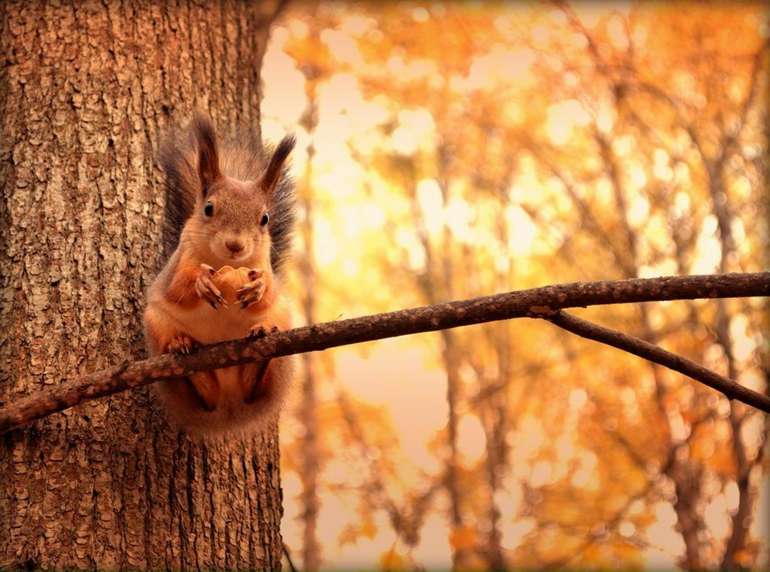 Лена Солодкая | Ярославль