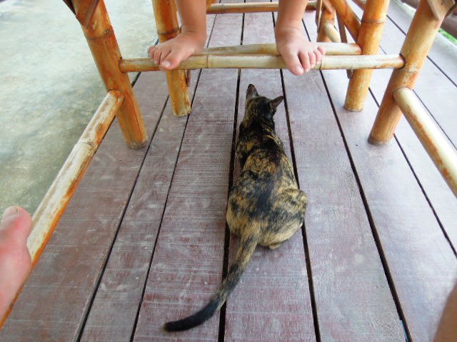 Антон Сараев | Санкт-Петербург