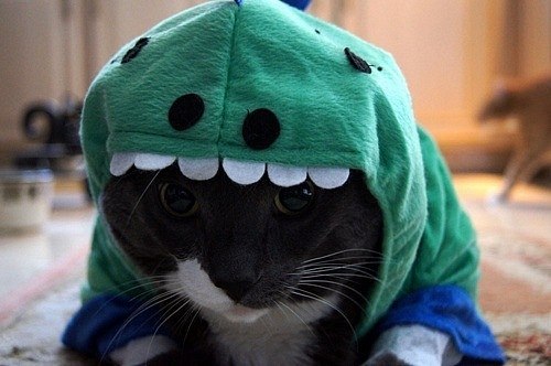 Кристина Алексеева | 