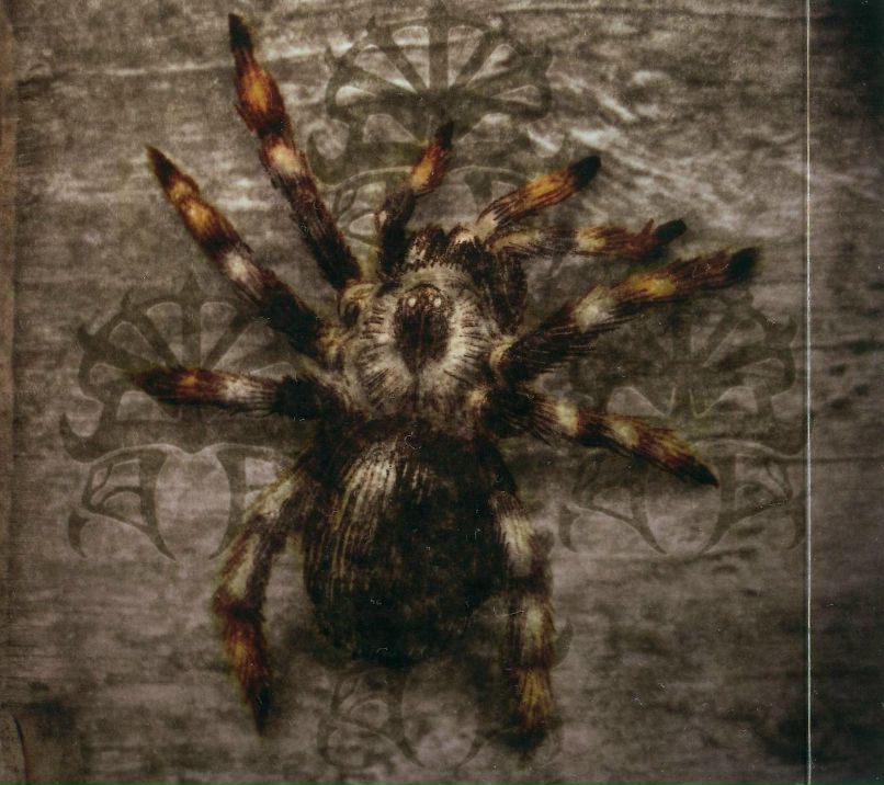 Коля Бойко | Мариуполь