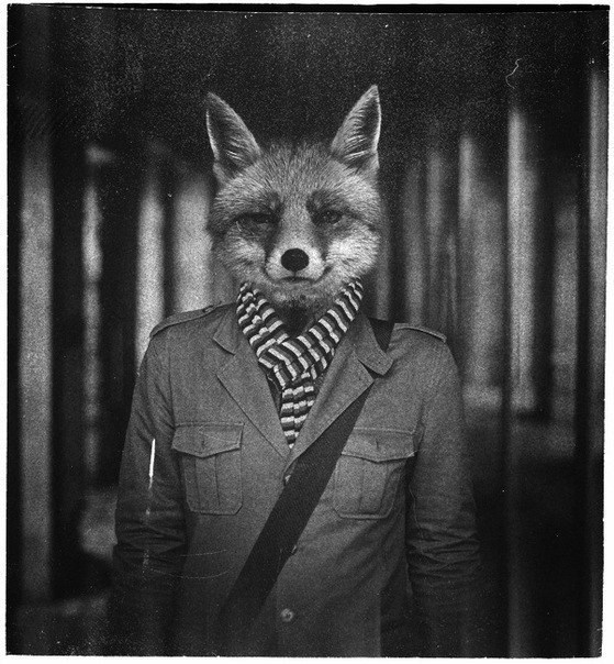 Владислав Майбродский Константинович | Москва