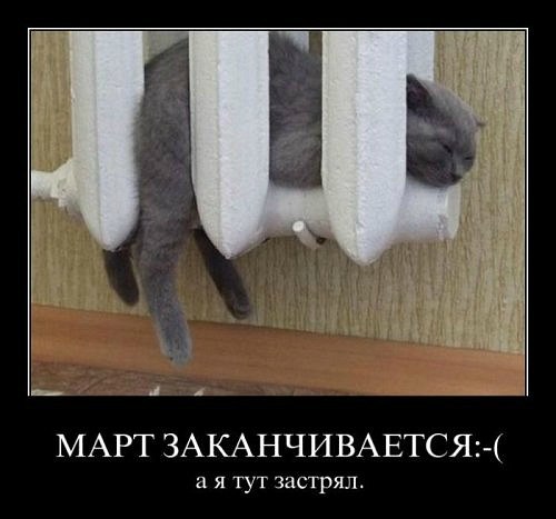 Ирина Мостовая | Тула