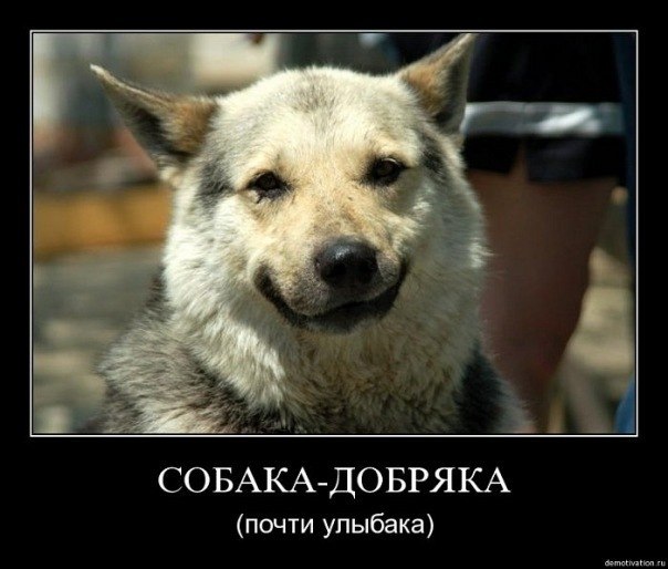 Сергей Владимиров | Сумы