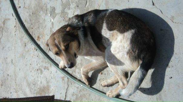 №38, Hamza Methanni, Омск №38, Hamza Methanni, Омск